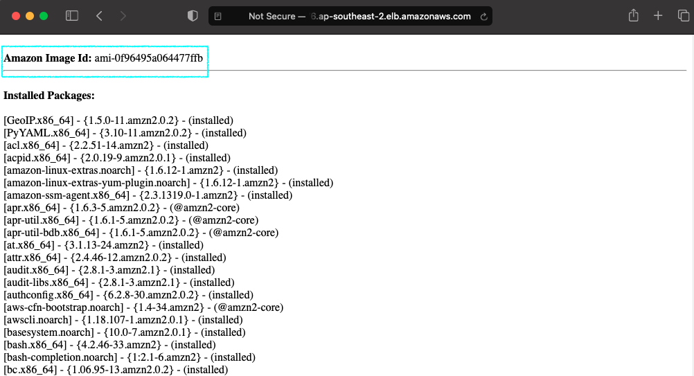 alb-dns-url-details-ami